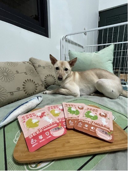 試用